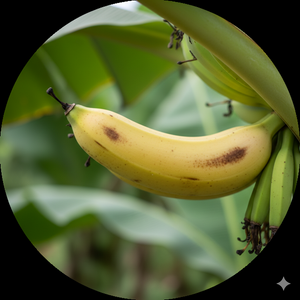 Vitamine B6